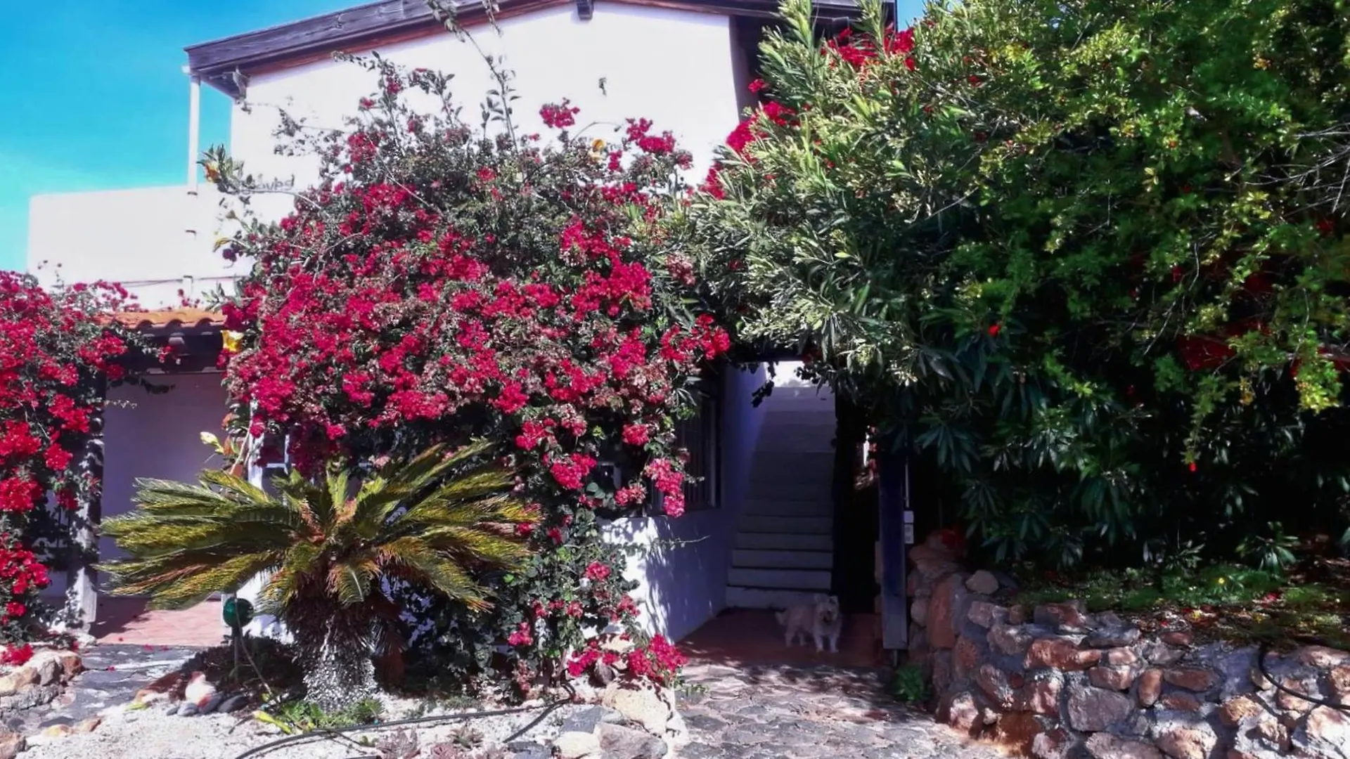 Casa Natural Individualurlaub Abseits Des Massentourismus, Chillen, Wandern, Surfen, Klettern, Strand La Sabinita 0*,  스페인